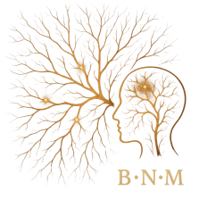 Biologisch Neuronale Mustererkennung – Diagnostiksystem Gesundheit, Gesundheitsvorsorge neu denken